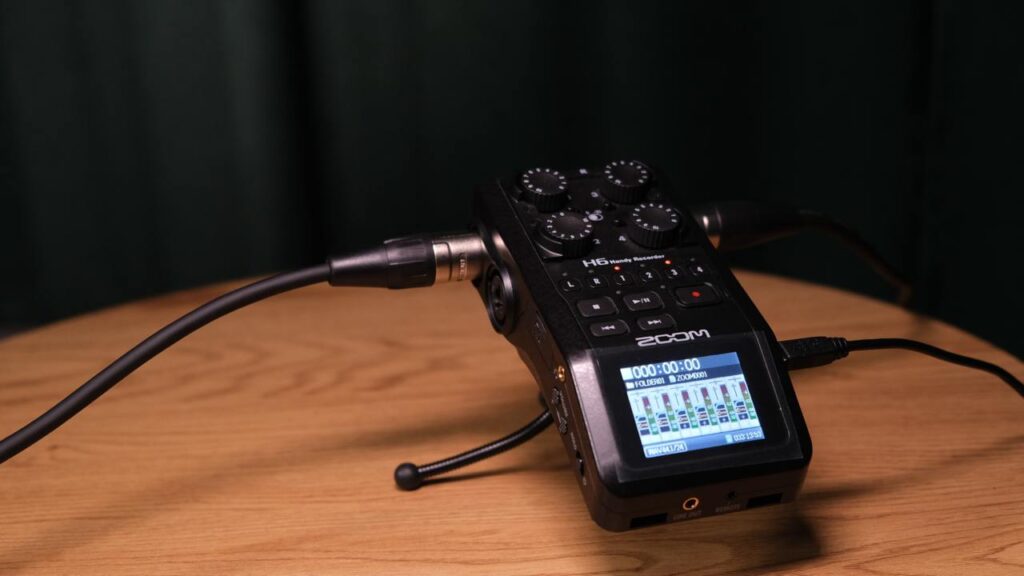 Zoom H6